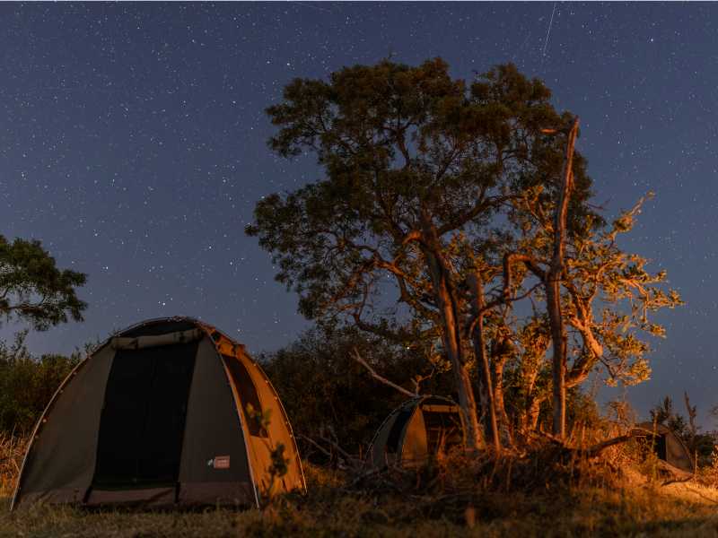 Moremi: Wilderness Camping
Spend the night under vast African skies, where remote campsites and clear air reveal a brilliant canopy of stars.