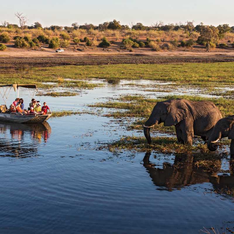 Wildlife viewing in Chobe River | Peter Walton