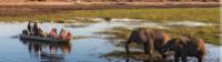 Observation animalière à la rivière Chobe, Botswana |  <i>Peter Walton</i>