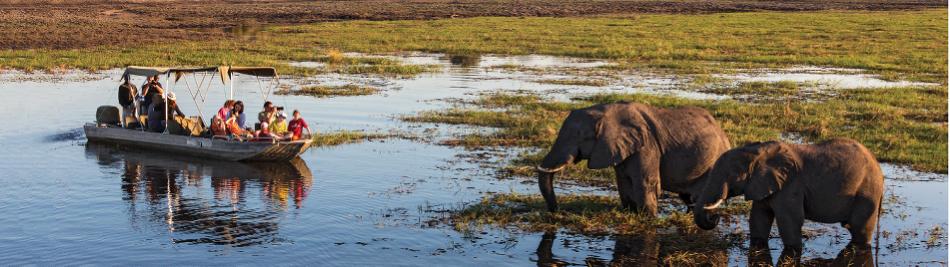 Wildlife viewing in Chobe River -  Photo: Peter Walton