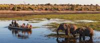 Wildlife viewing in Chobe River | Peter Walton