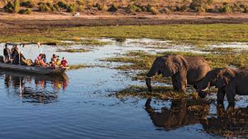 Wildlife viewing in Chobe River
