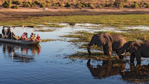 Wildlife viewing in Chobe River | Peter Walton