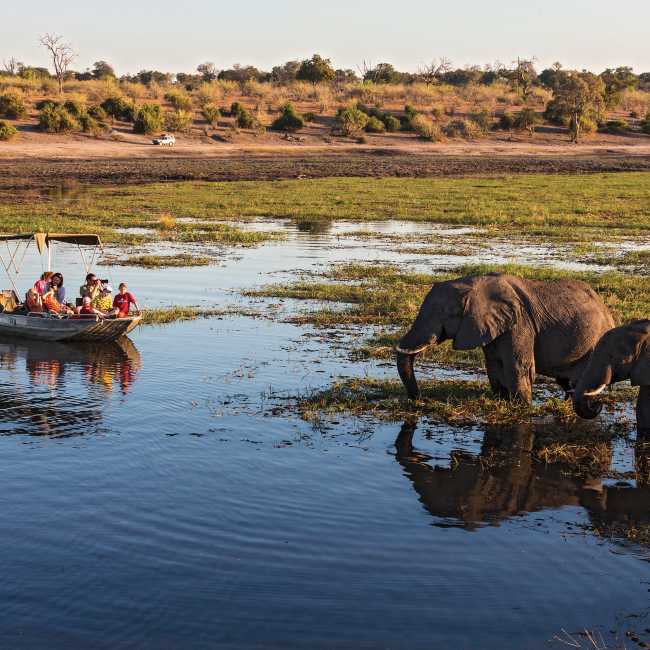 Wildlife viewing in Chobe River | Peter Walton
