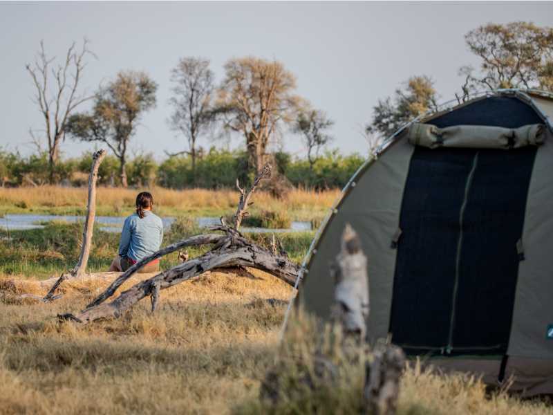 Okavango Delta: Wilderness Camping:
Set up camp in remote landscapes and take in the natural surroundings at your own pace
