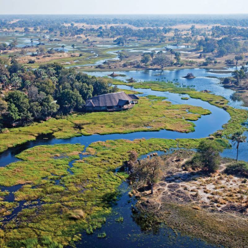The magnificent Okavango Delta | Peter Walton