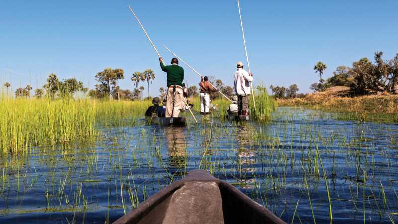 Cruising the Okavango Delta | Peter Walton