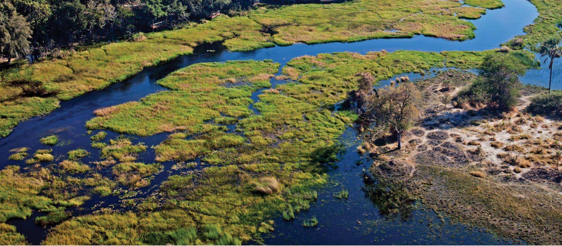 Money Clip - Okavango