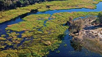 The magnificent Okavango Delta