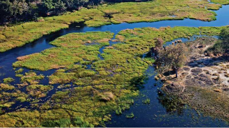 The magnificent Okavango Delta | Peter Walton