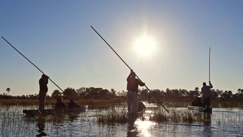 Makoro, dugout canoes in the Okavango Delta | Peter Walton