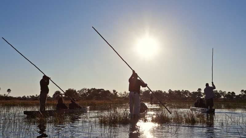 Makoro, dugout canoes in the Okavango Delta | Peter Walton