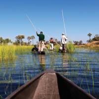 Cruising the Okavango Delta | Peter Walton