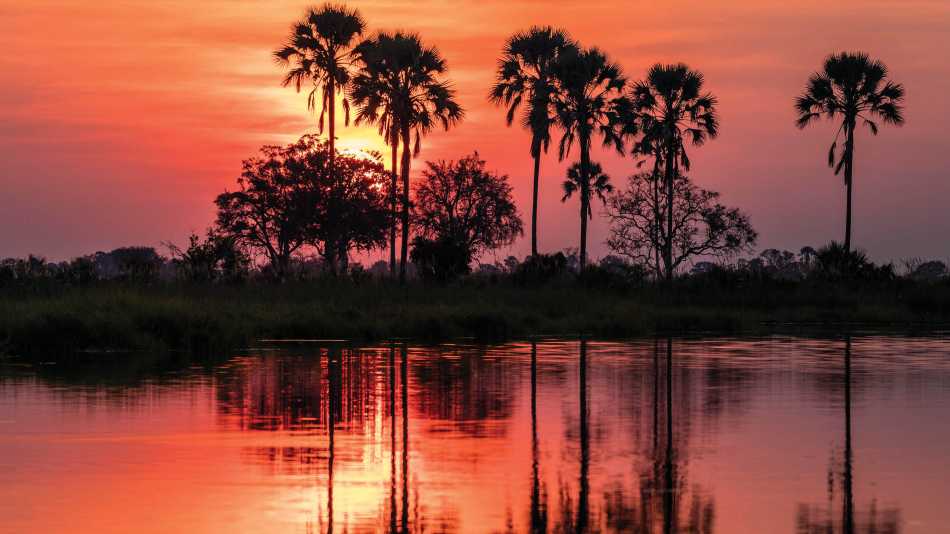 Stunning sunset over Okavango River in Botswana | Peter Walton