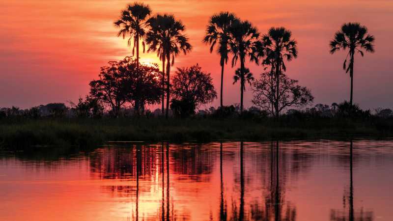 Stunning sunset over Okavango River in Botswana | Peter Walton