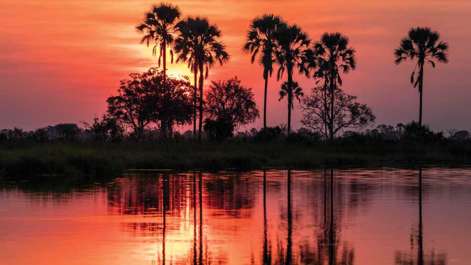 Stunning sunset over Okavango River in Botswana | Peter Walton