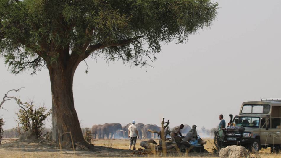 Wildlife viewing around Savuti Camp in Chobe National park | Jez Hollinshead