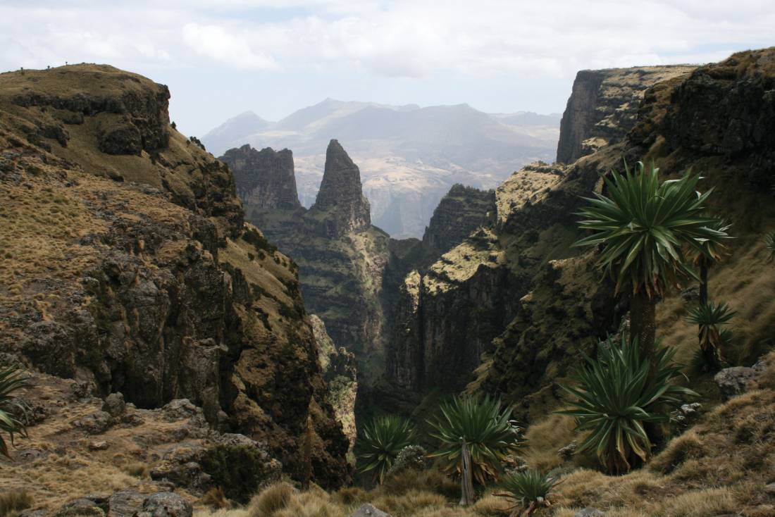 Simien Mountain range, Northern Ethiopia |  <i>Janet Oldham</i>