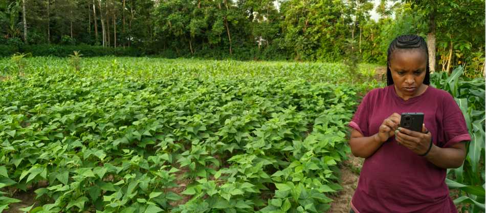 Establishing a half-acre model demonstration farm in Kenya | Climate Technology and Knowledge Hub