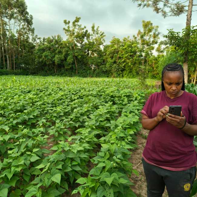 Establishing a half-acre model demonstration farm in Kenya | Climate Technology and Knowledge Hub