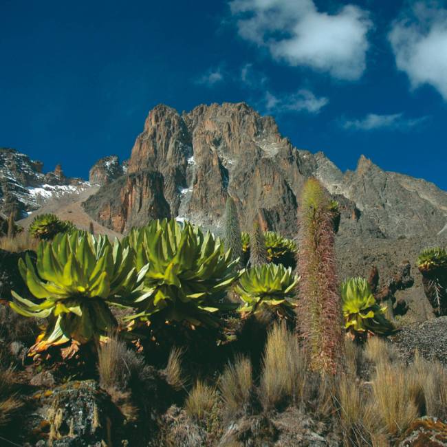 The picturesque flanks of Mt Kenya | Sue Badyari