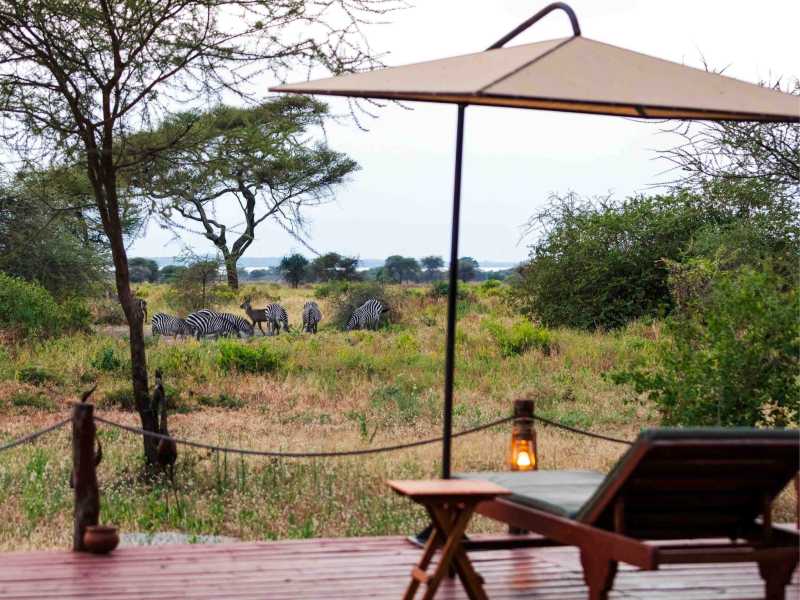 Relax and animal watch directly from your own room at the Simba Lodge in Tarangire National Park