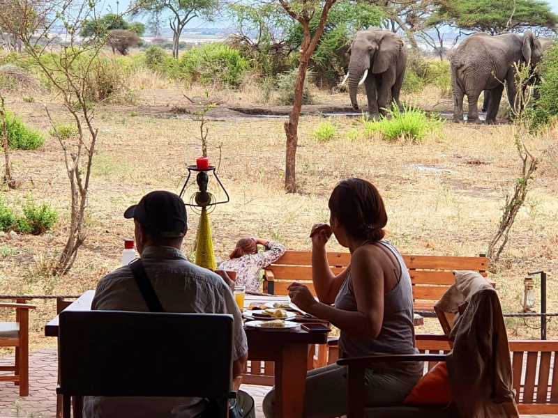 Animals frequently wander aorund the grounds at the Simba Lodge in Tarangire National Park