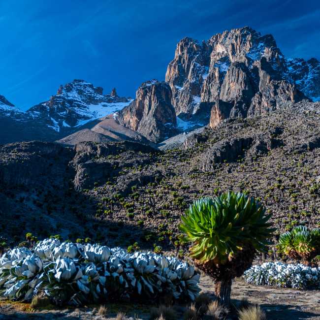 Mt Kenya is considered a more beautiful climb than Kili by many trekkers