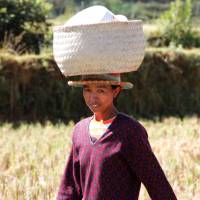 Local woman carrying farmed crops on her head | Ian Williams