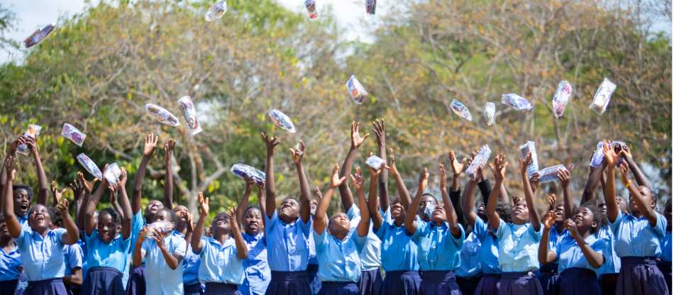 Menstrual Pad Project | Unknown