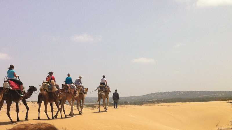 Camel ride in the Sahara | Stuart davis
