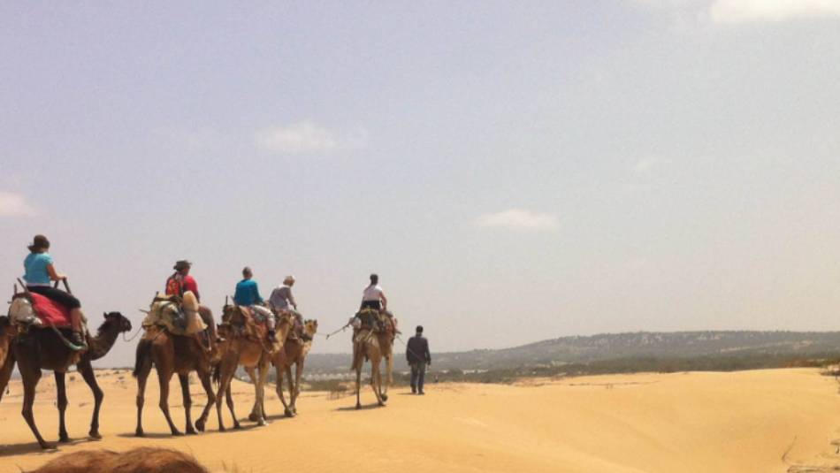 Camel ride in the Sahara | Stuart davis