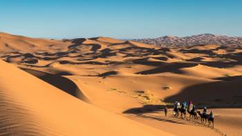 Camel riding on the Erg Chebbi dunes in the Sahara desert