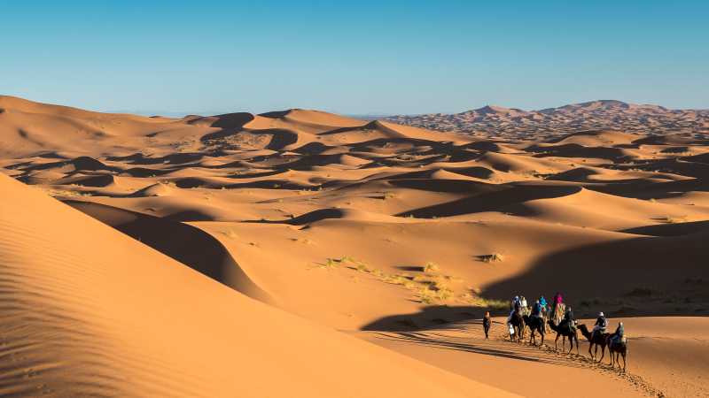 Camel riding on the Erg Chebbi dunes in the Sahara desert | Richard I'Anson