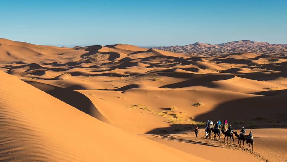 Camel riding on the Erg Chebbi dunes in the Sahara desert | Richard I'Anson