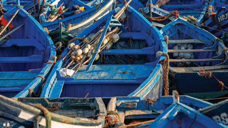 Local life in Essaouira | Michael Gebicki