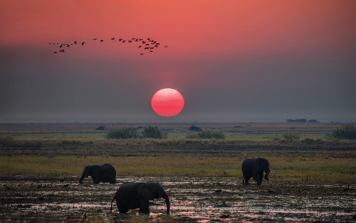 Breathtaking sunset over the African plains&#160;-&#160;<i>Photo:&#160;Peter Walton</i>