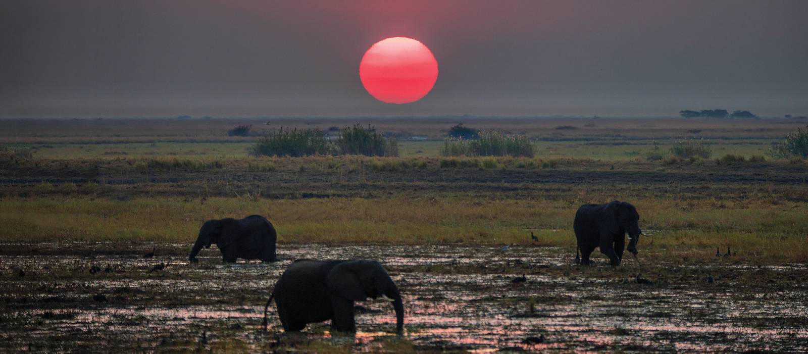 Breathtaking sunset over the African plains |  <i>Peter Walton</i>