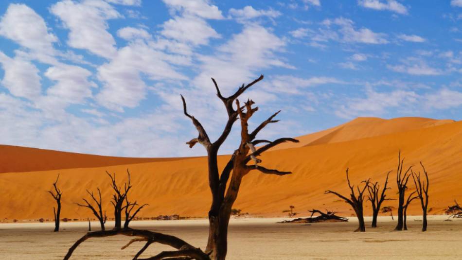 Deadvlei, Namibia | Alex Peyer