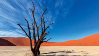 Deadvlei Namibia Africa,Peter Walton Colours of Deadvlei