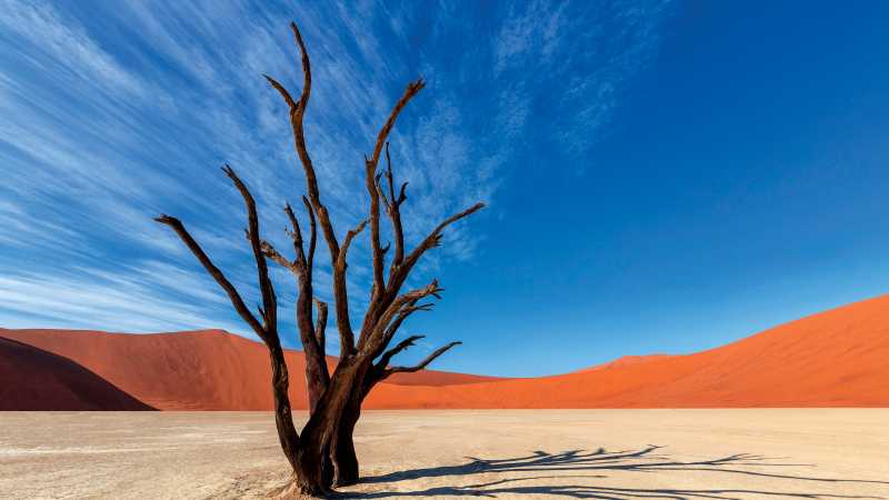 Colours of Deadvlei | Peter Walton