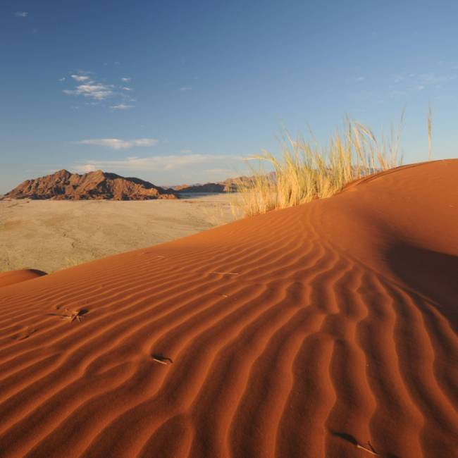 The dunes at Sossusvlei turn shades of apricot at sunrise and crimson at sunset | Andrew Thomasson
