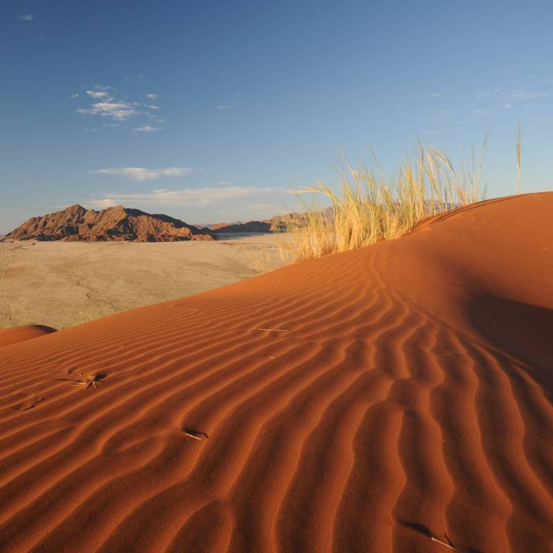 The dunes at Sossusvlei turn shades of apricot at sunrise and crimson at sunset | Andrew Thomasson