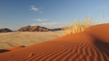 The dunes at Sossusvlei turn shades of apricot at sunrise and crimson at sunset