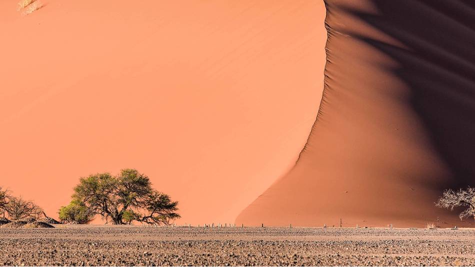Vast expanses of the Namib Desert | Nick Lefebvre