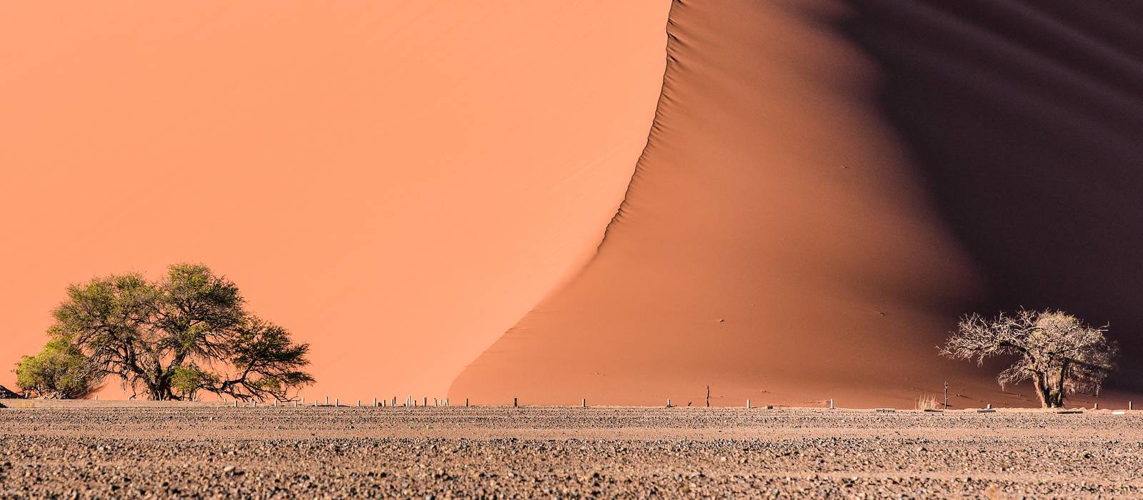 Vast expanses of the Namib Desert |  <i>Nick Lefebvre</i>