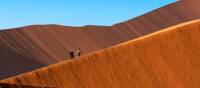 The changing colours of the world’s highest sand dunes, Sossusvlei, Namibia | Peter Walton