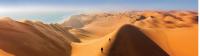 Climbing the sand dunes of Sossusvlei |  <i>Peter Walton</i>