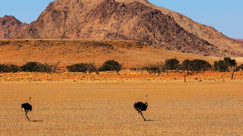 The dramatic landscapes of Sossusvlei | Peter Walton