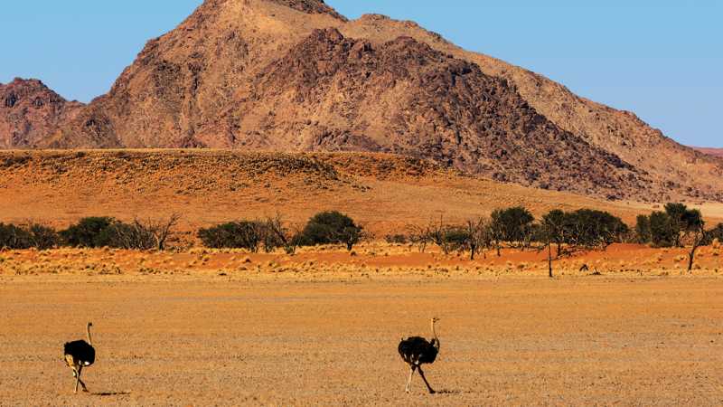The dramatic landscapes of Sossusvlei | Peter Walton
